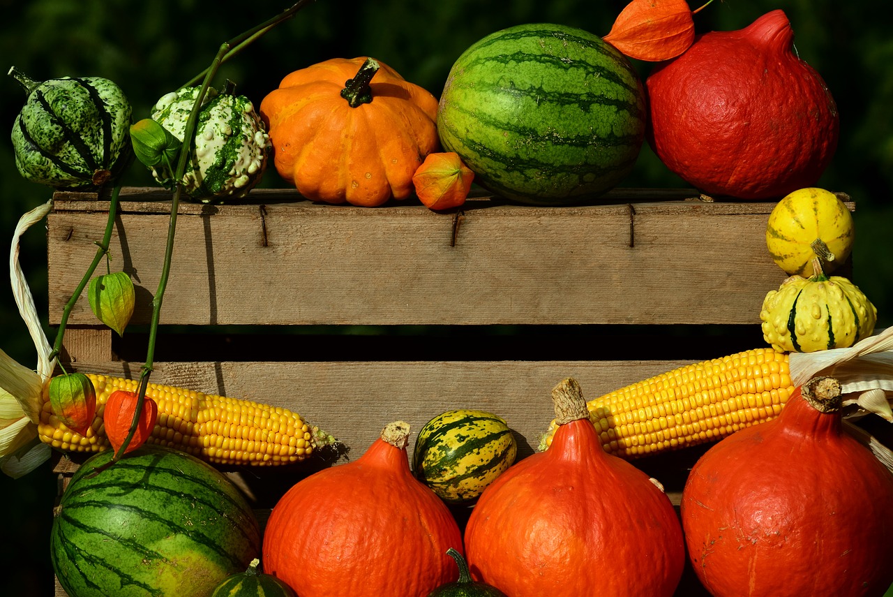 Image - pumpkin thanksgiving harvest autumn