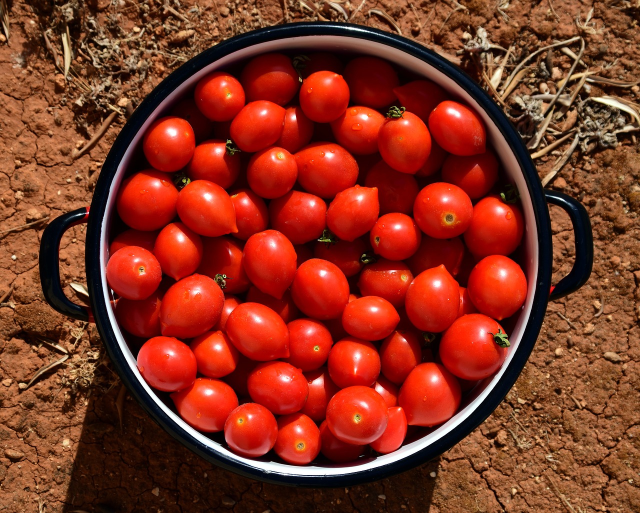 Image - tomatoes pot cooking pot