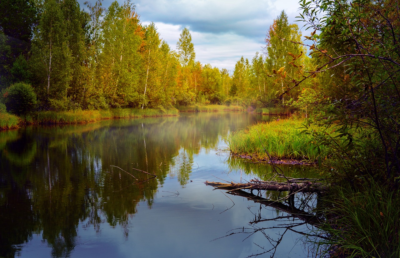 Image - autumn landscape pond forest trees