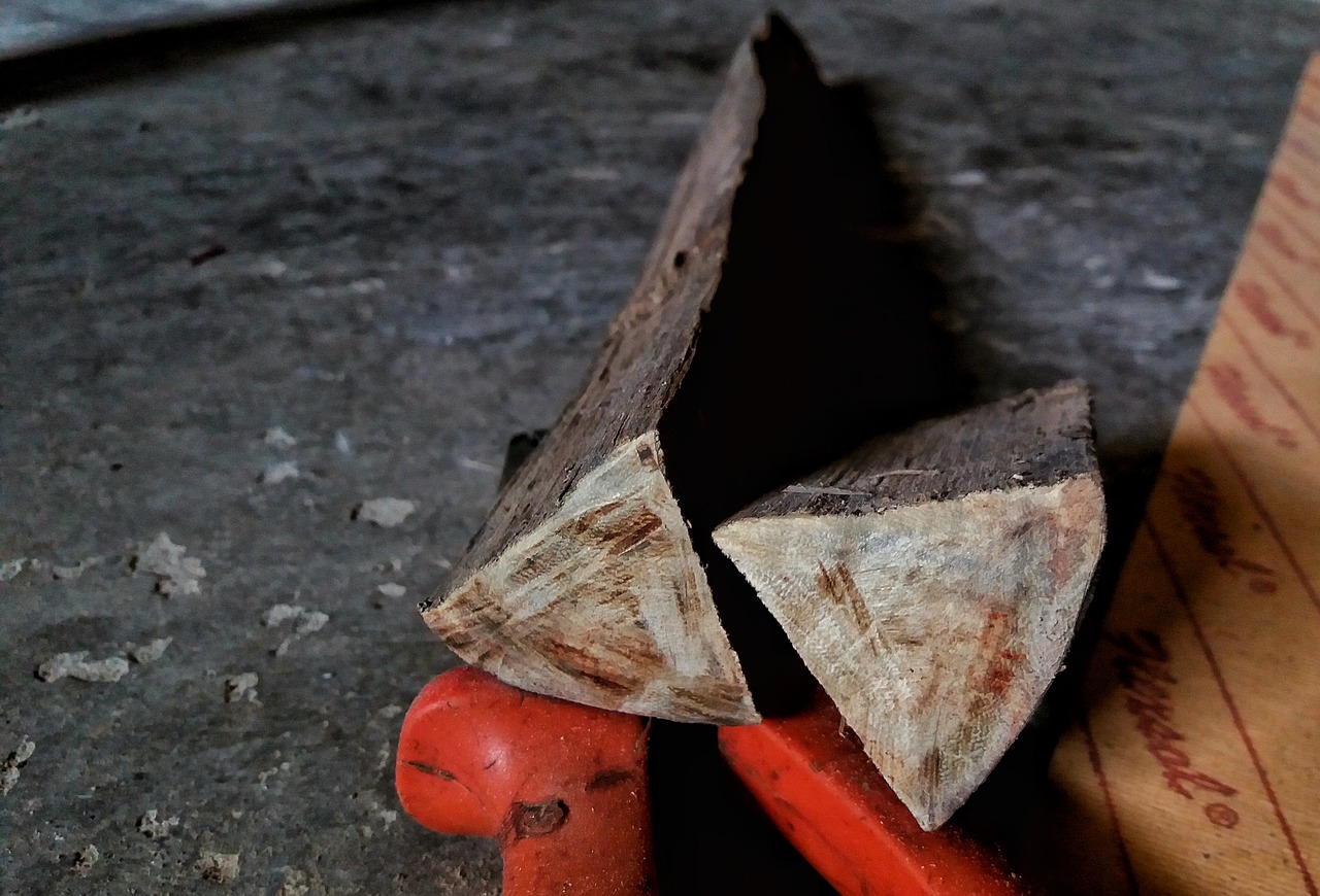 Image - tree of wood wood cutting core tree