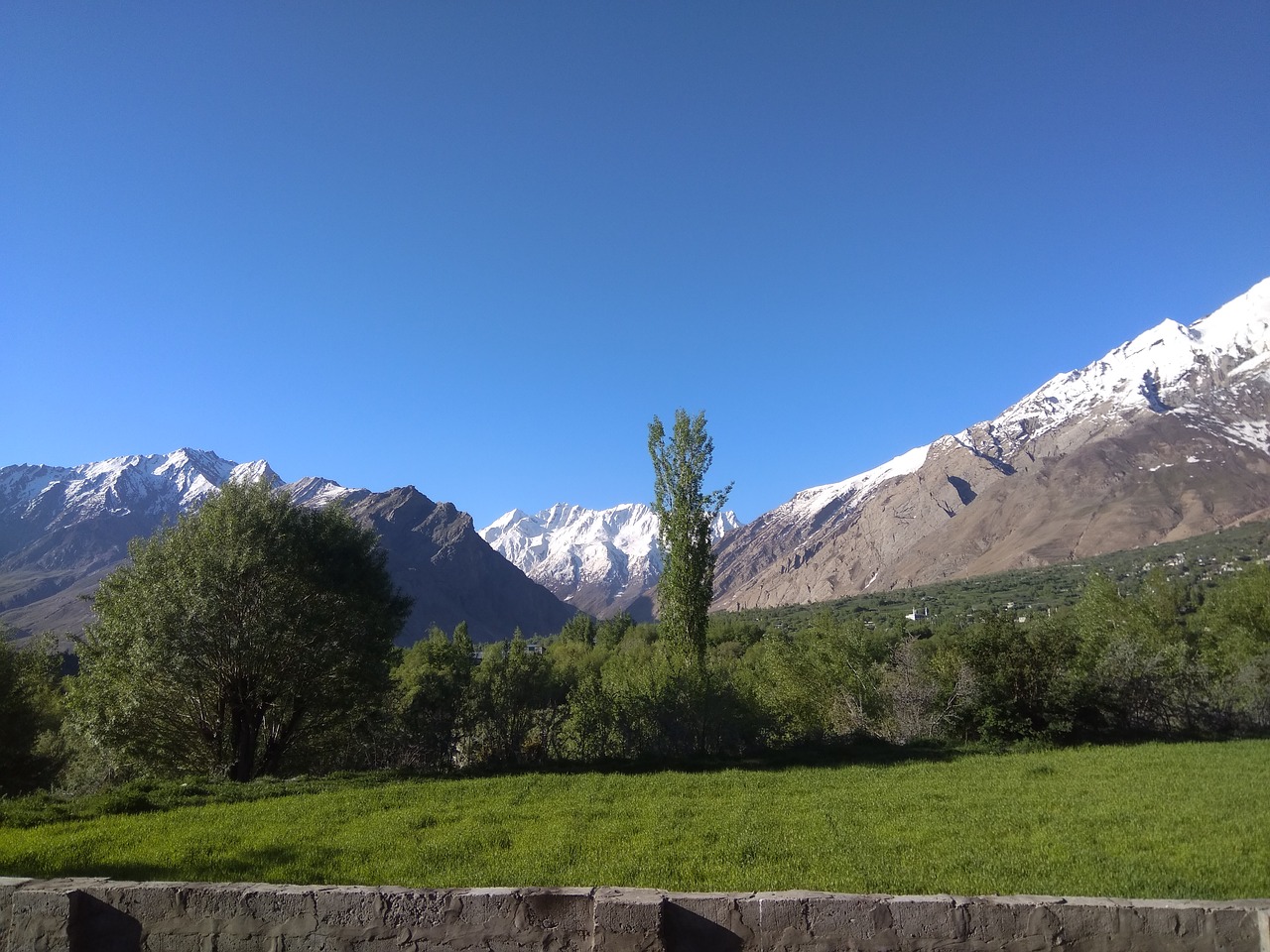 Image - sankoo in may