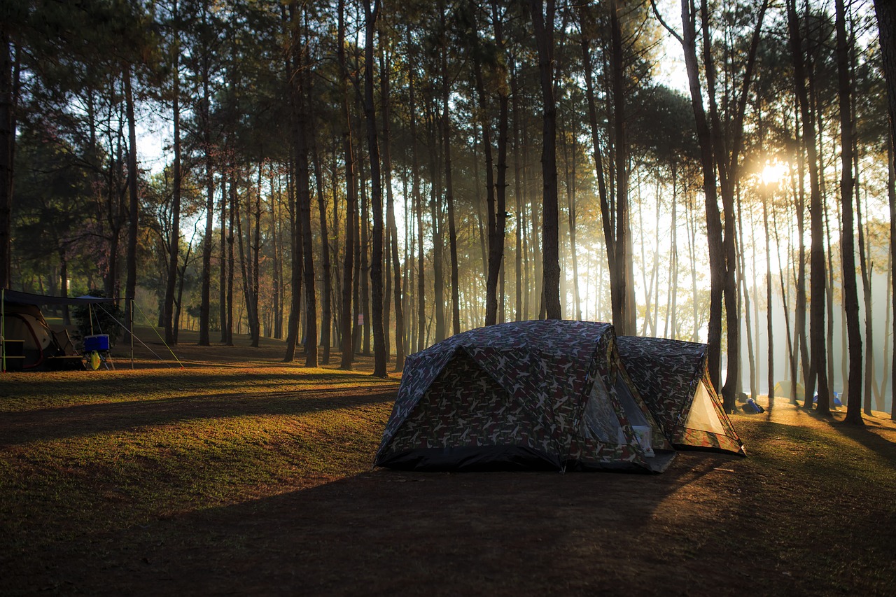 Image - site camp forest