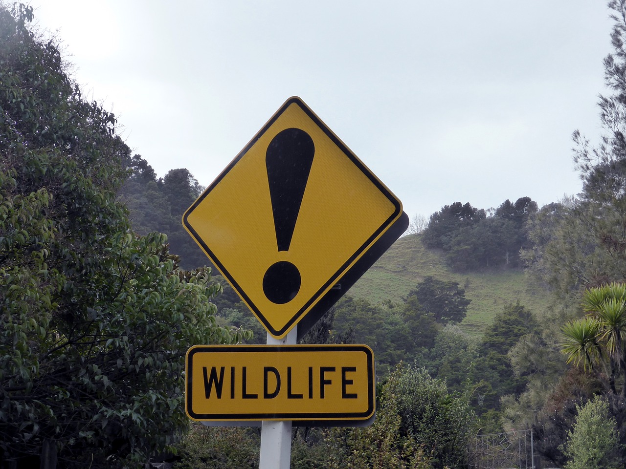 Image - wildlife sign road sign new zealand