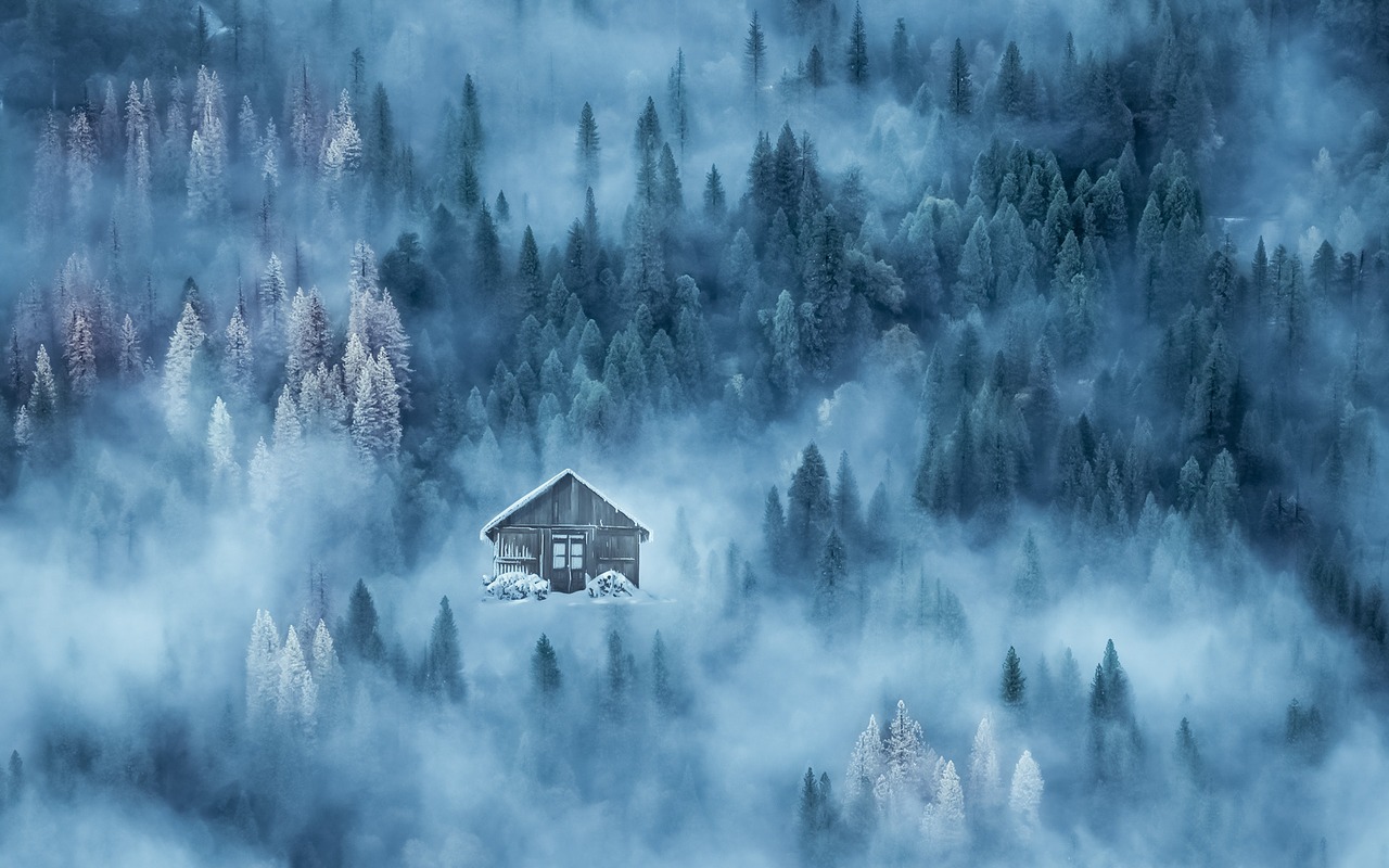 Image - winter cabin wood mist background