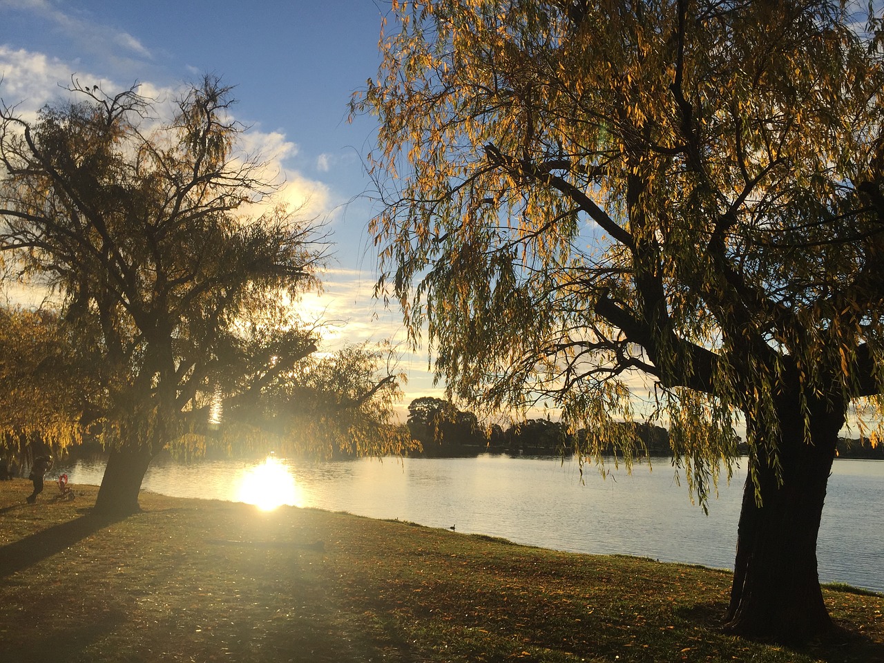 Image - riverside sunset trees reflection