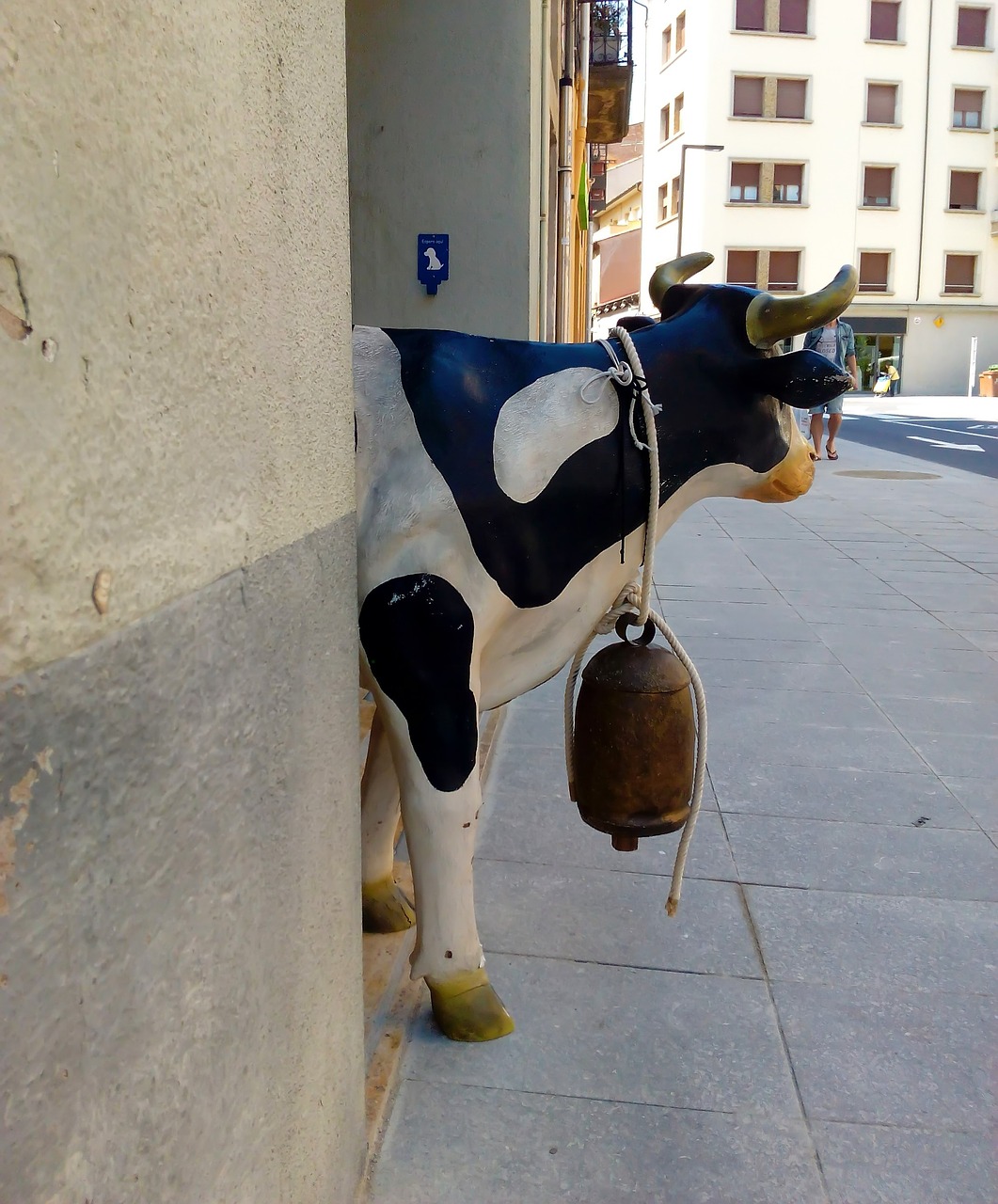 Image - cow animal mammal street entry