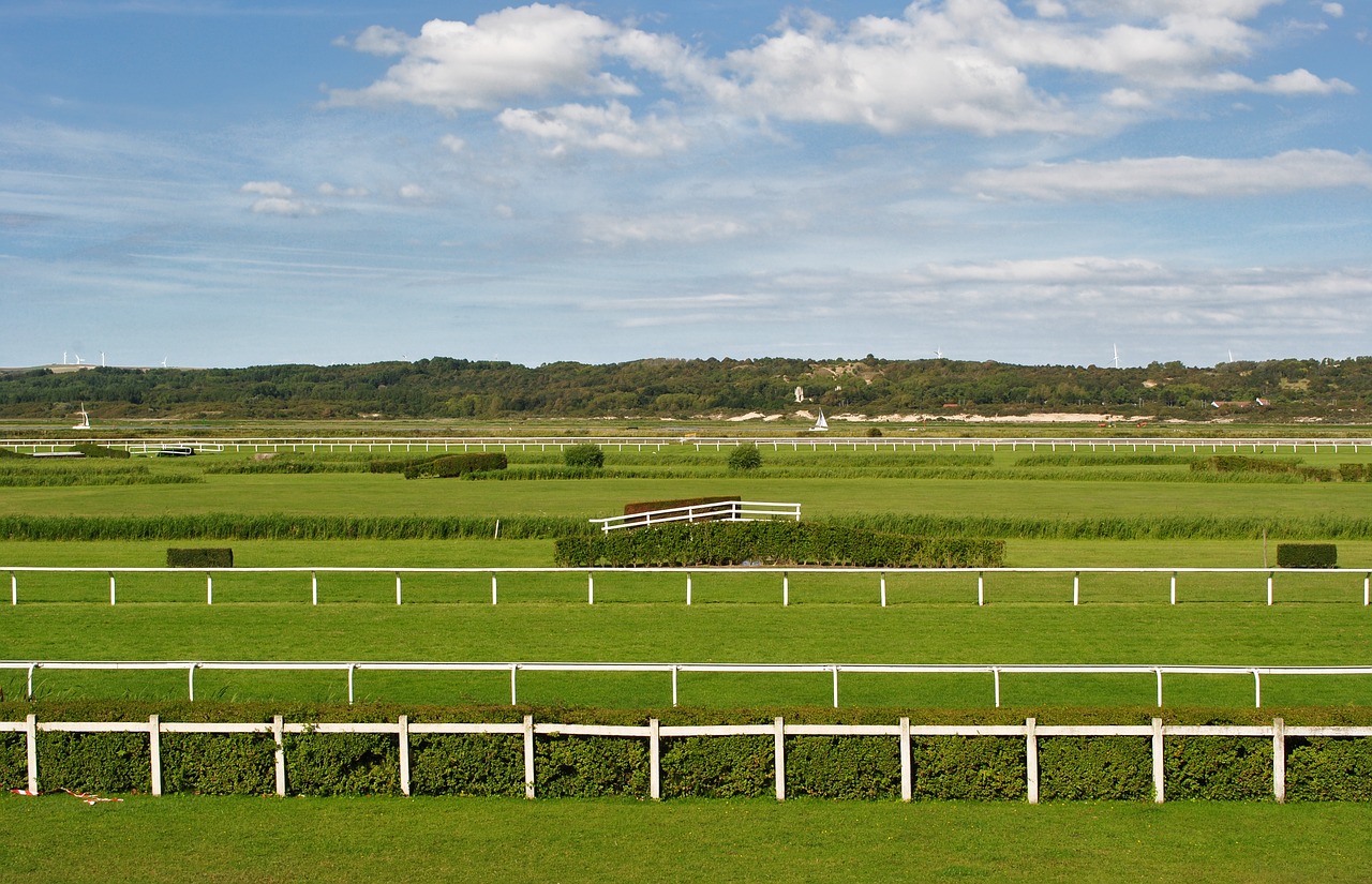 Image - ipodrom france horses races stroll