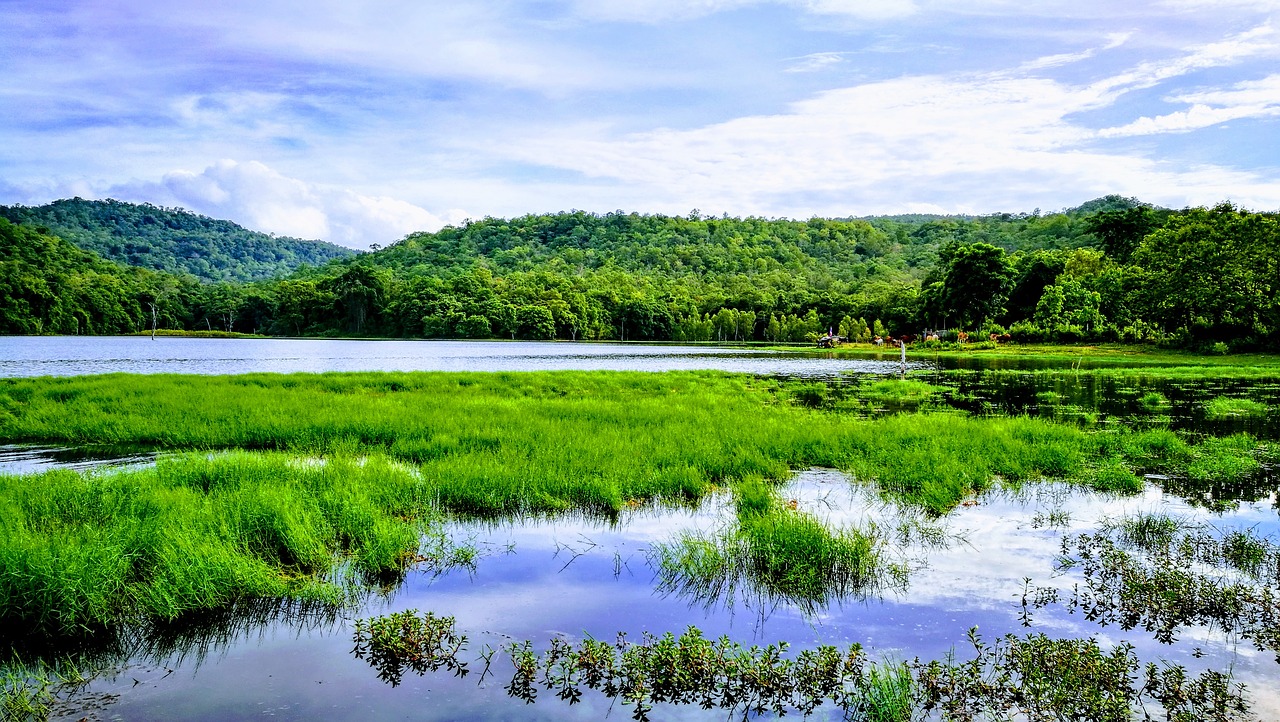 Image - green water refreshing sky