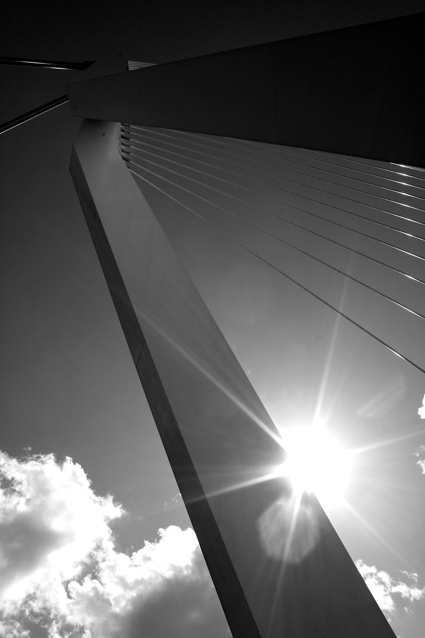 Image - abstract bridge lines cables sky