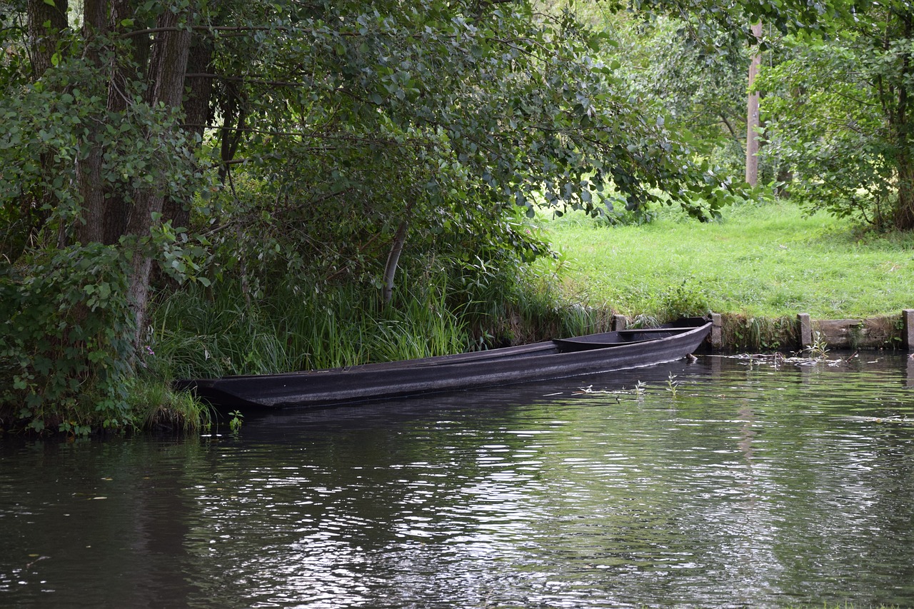 Image - boot forest tree water landscape