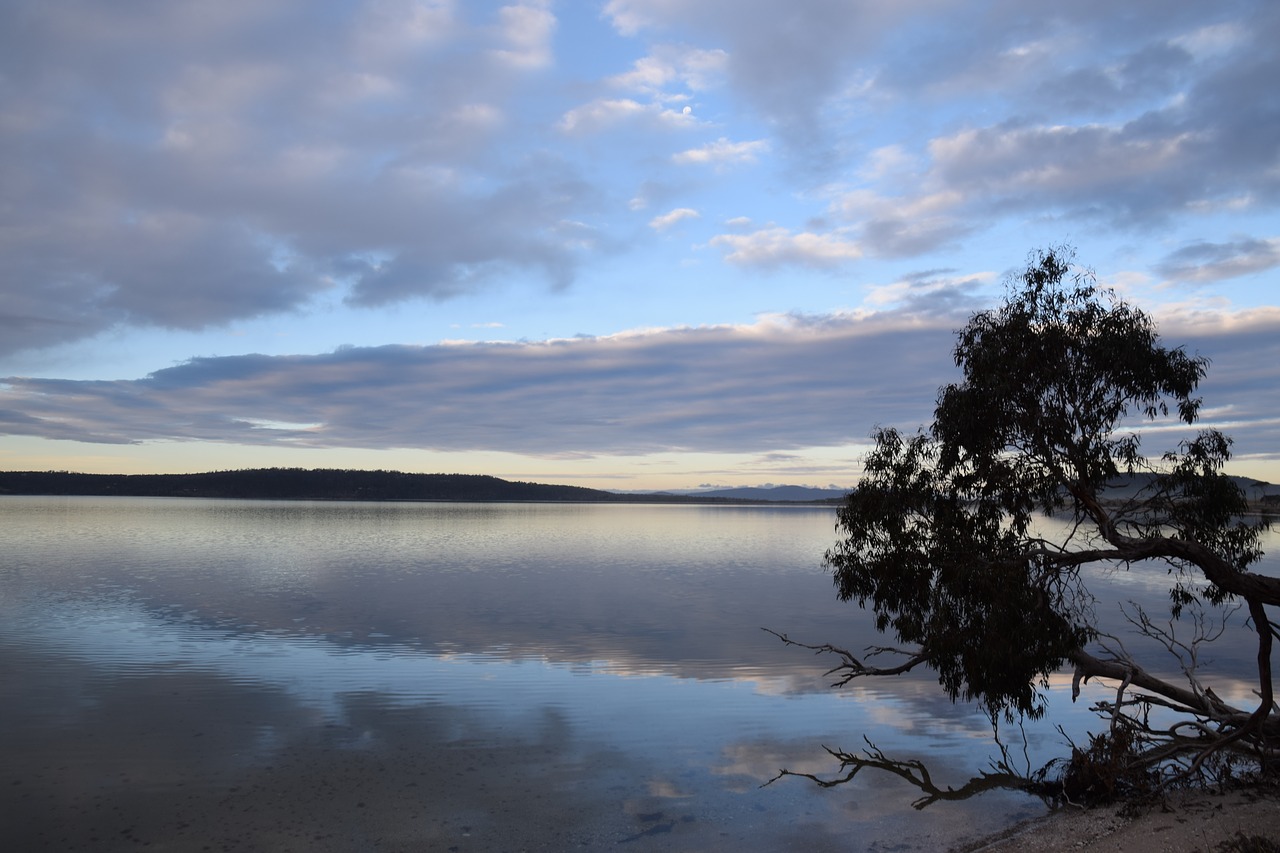 Image - south arm peninsula river water