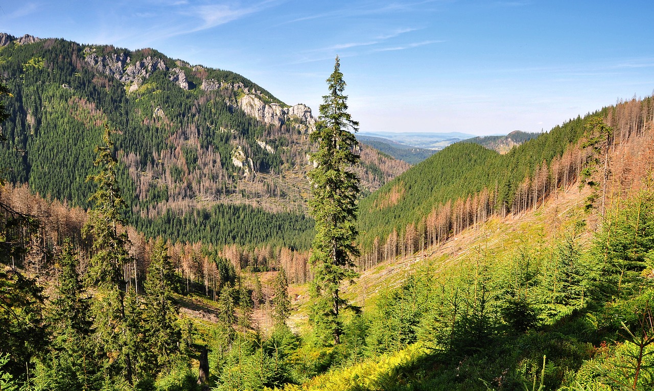 Image - view tatry western tatras poland