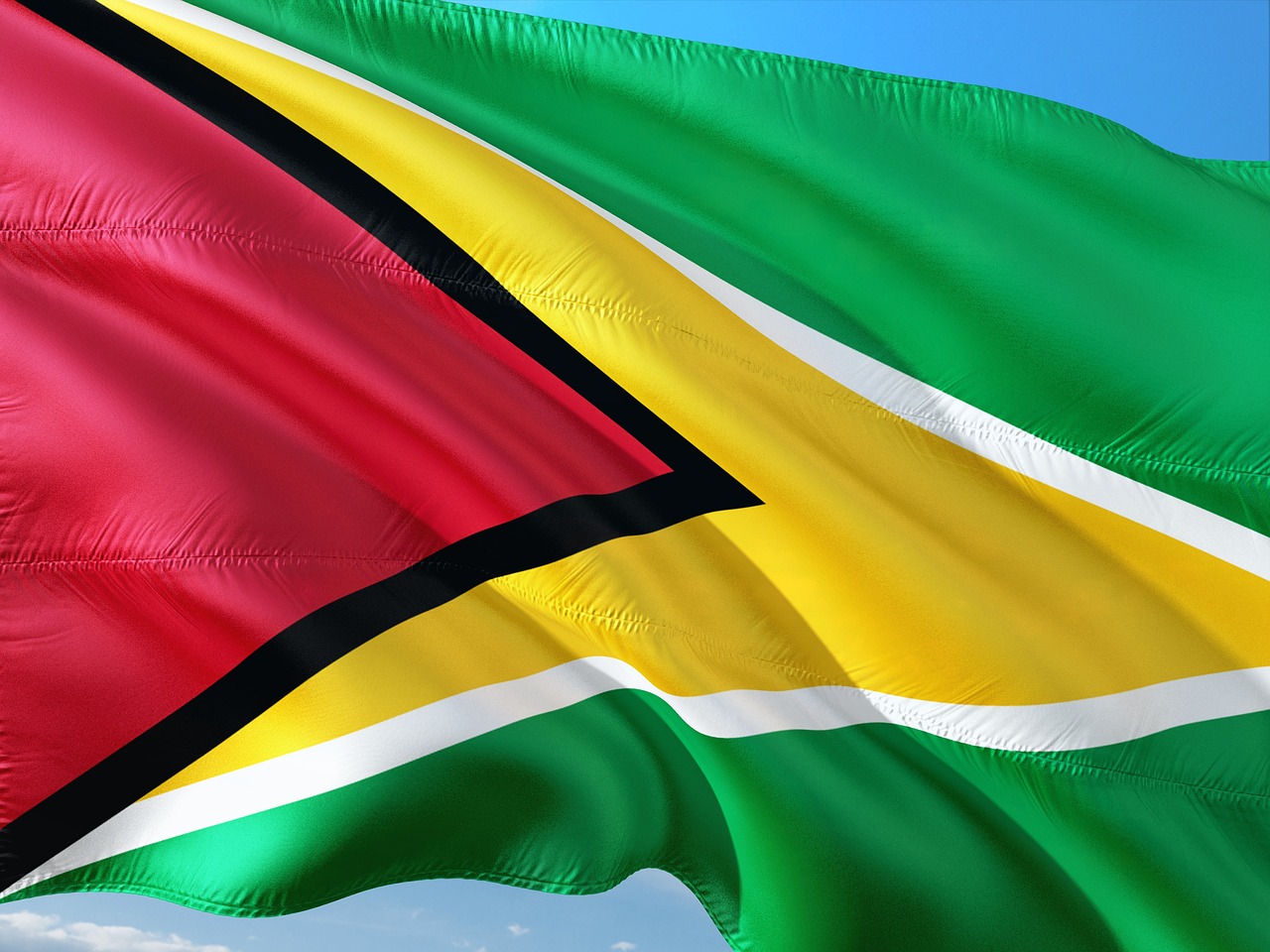 Image - international flag guyana