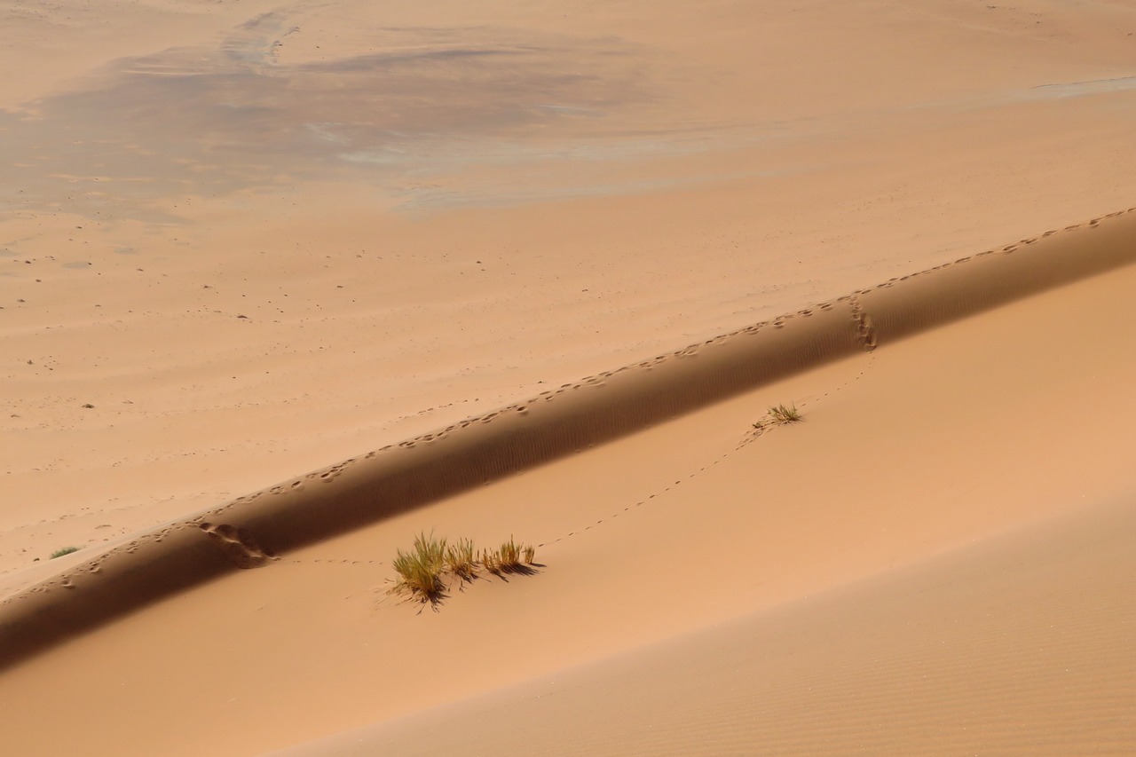 Image - sand dune background screen desert