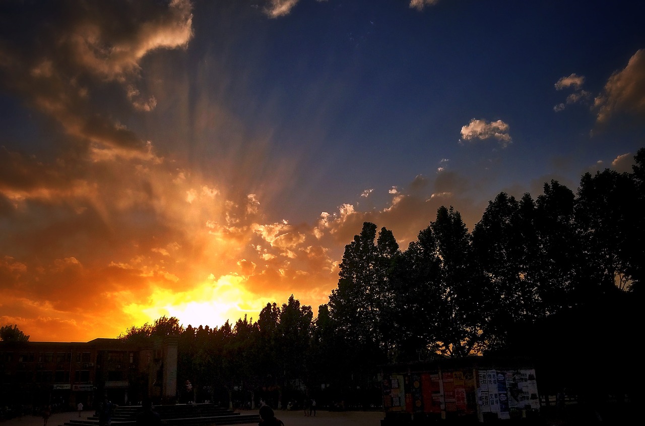 Image - sunset cloud night woods sun