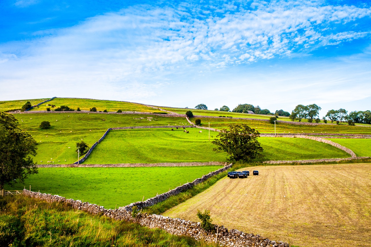 Image - yorkshire burnsall england dales