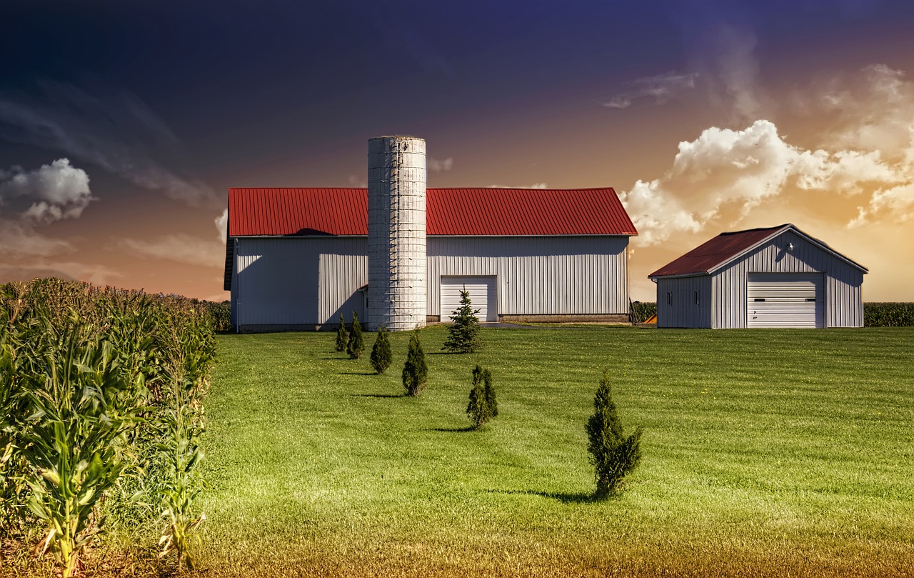 Image - barn rustic barns morning dawn