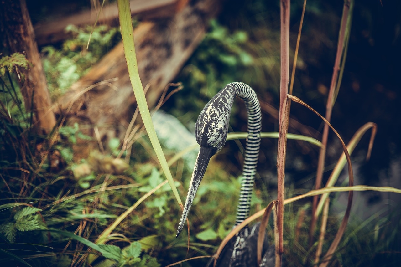 Image - swan metal grass art bokeh mood