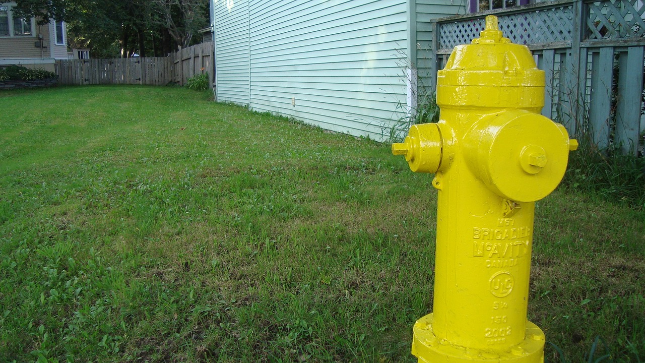 Image - fire hydrant fireplug plug hydrant