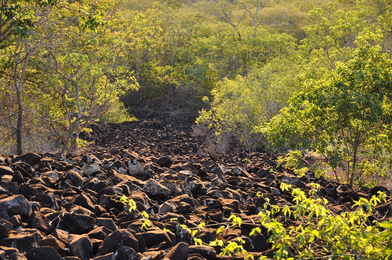 Image - serra black source volcanic