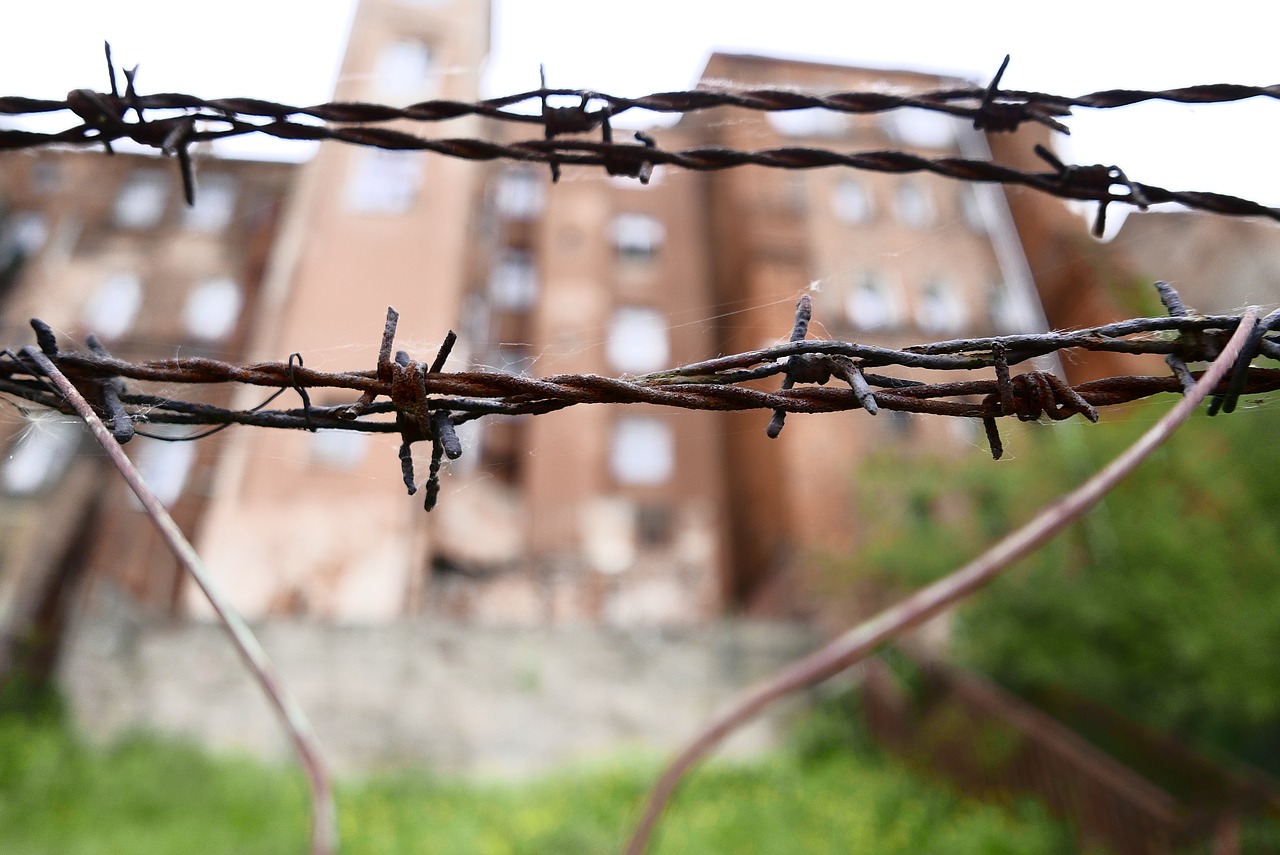 Image - barbed wire bins the fence