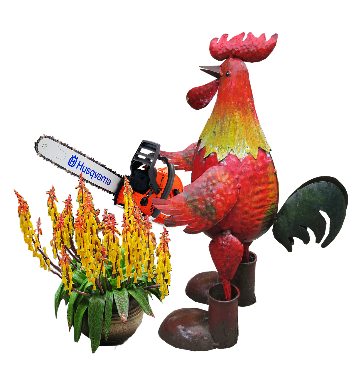 Image - rooster pruning plant