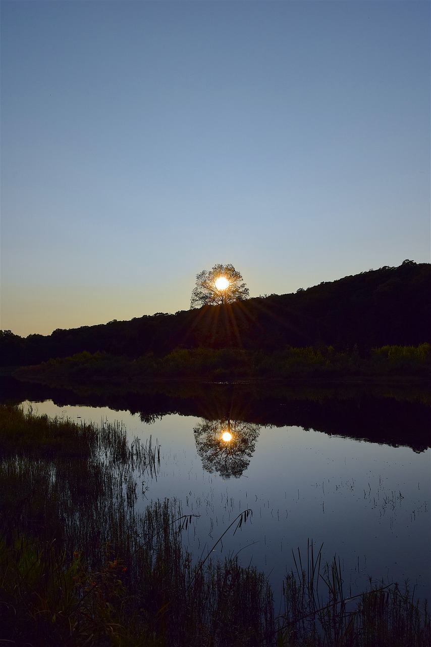 Image - lake sunset reflection park trees