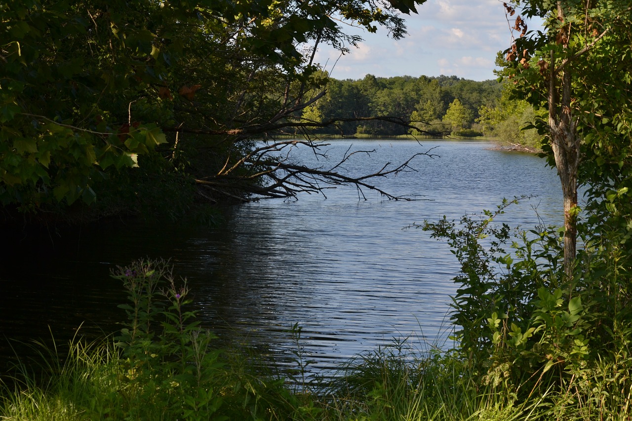 Image - lake water na landscape grass