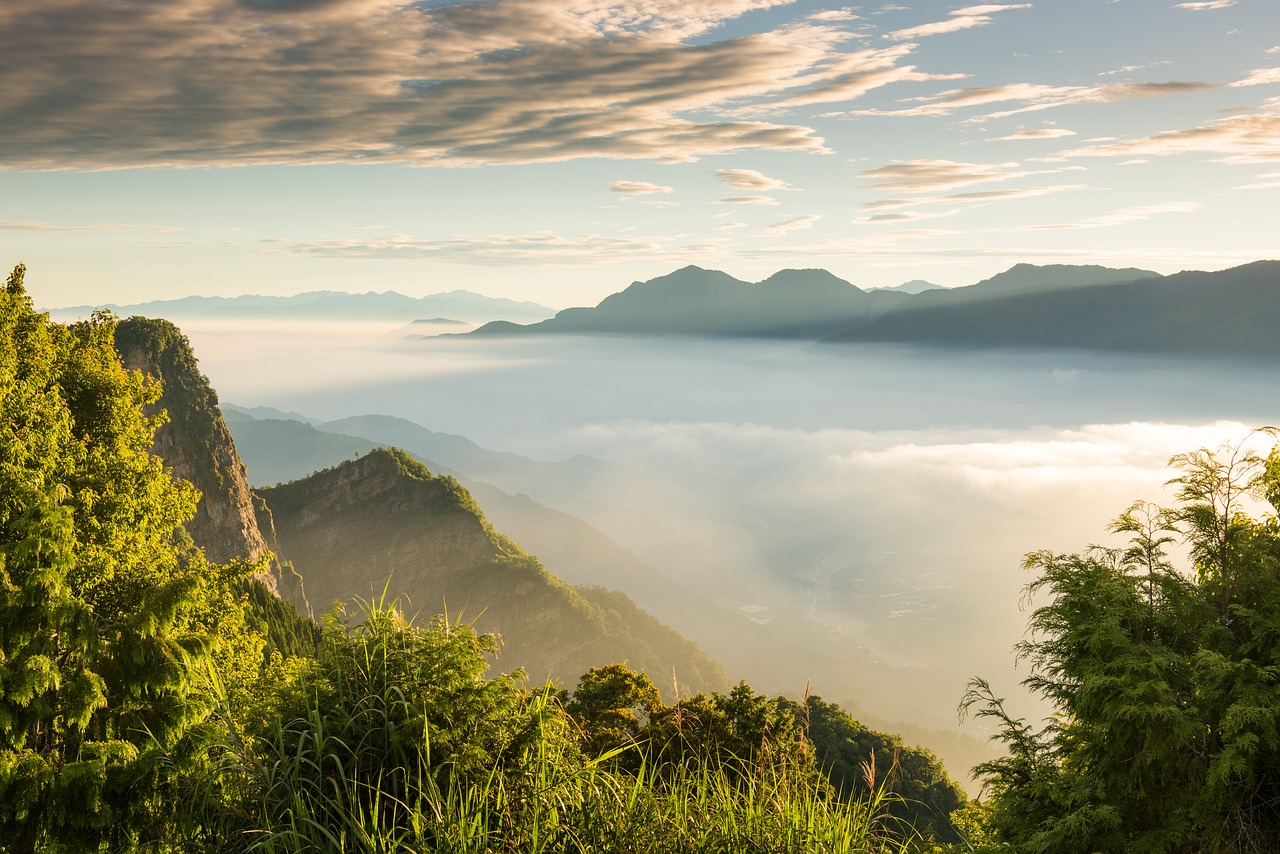 Image - taiwan alishan a surname mist