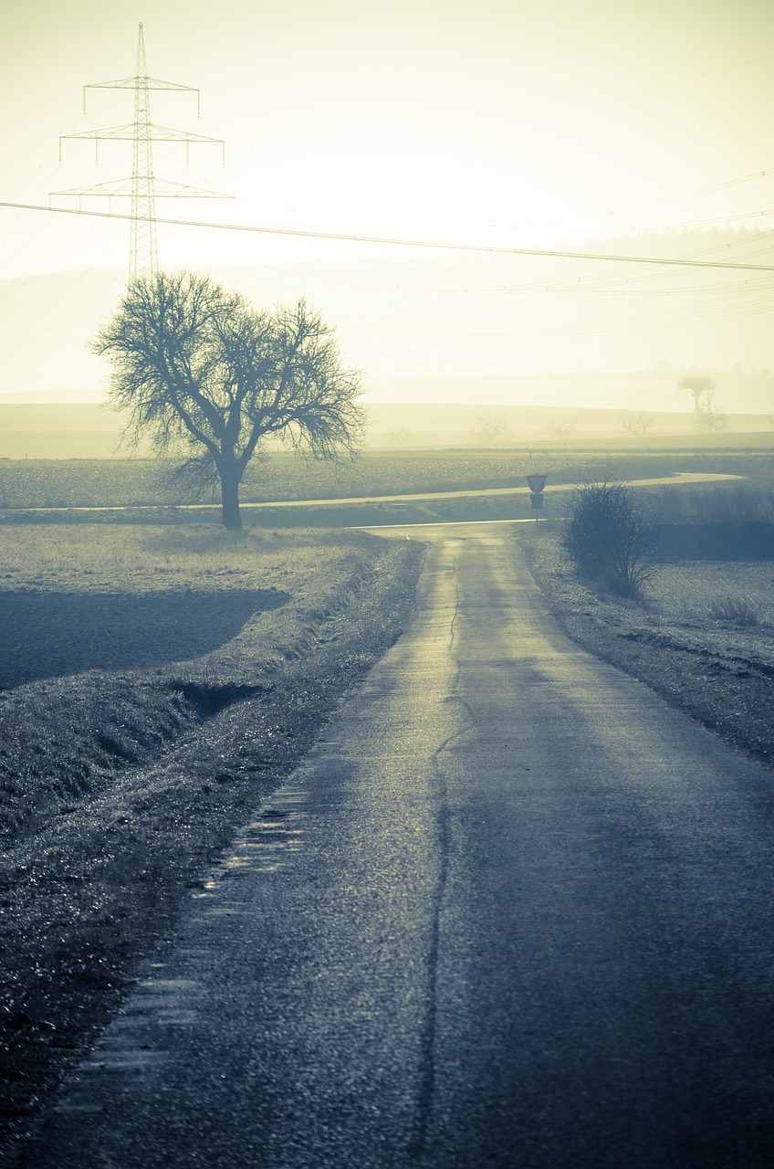 Image - forest path away path nature rural