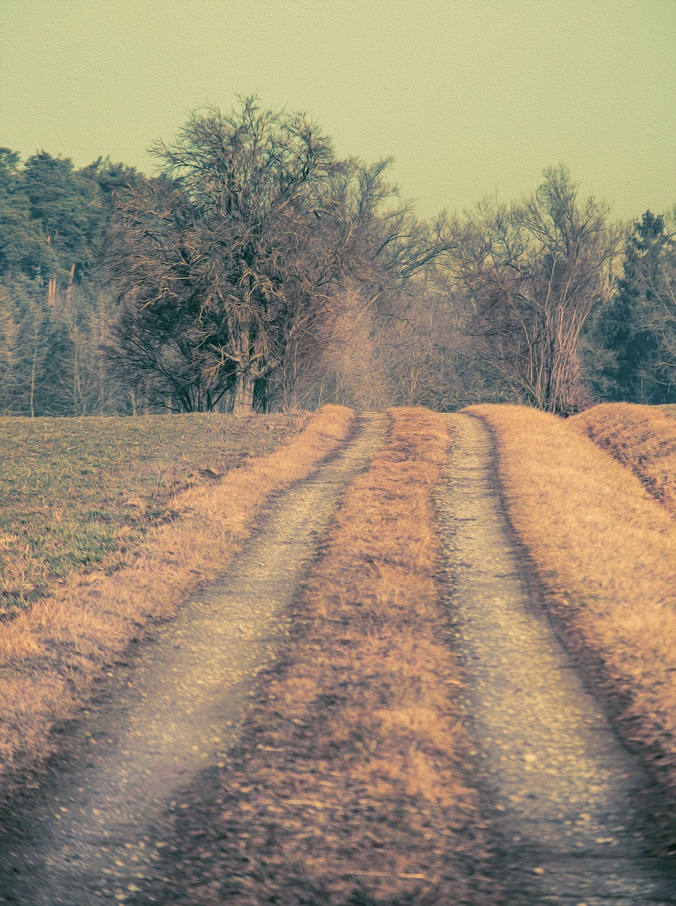 Image - steigerwald lane away path leisure