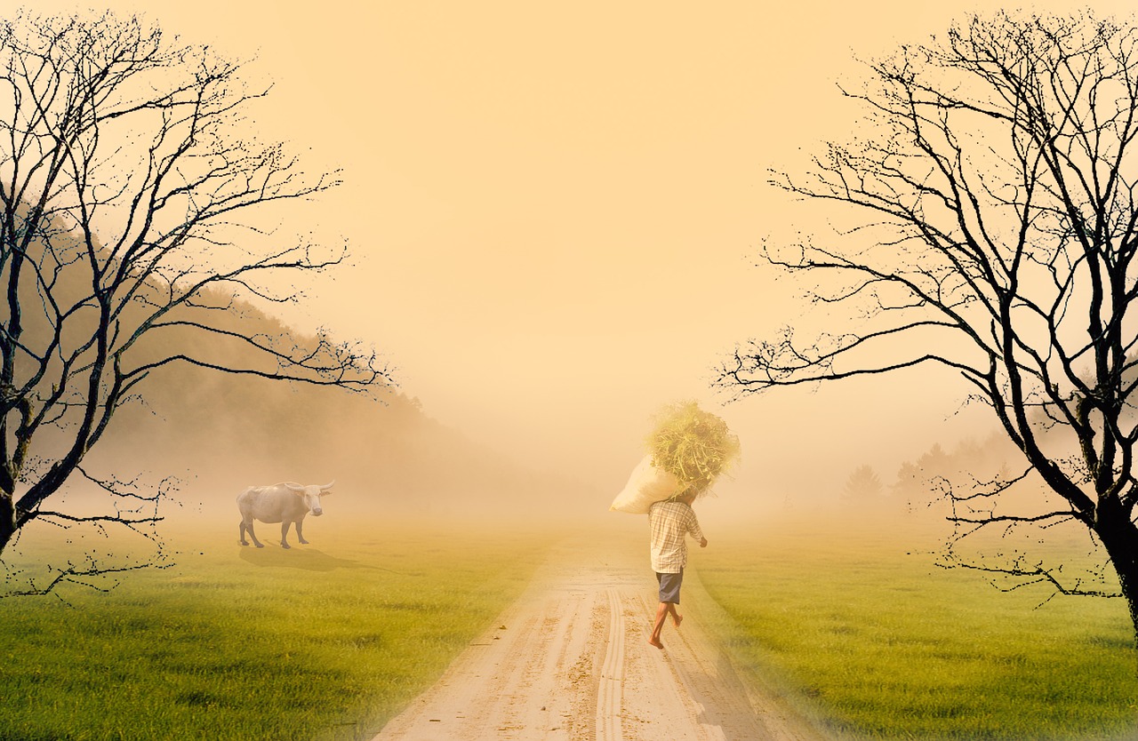 Image - grass seekers forest pasture