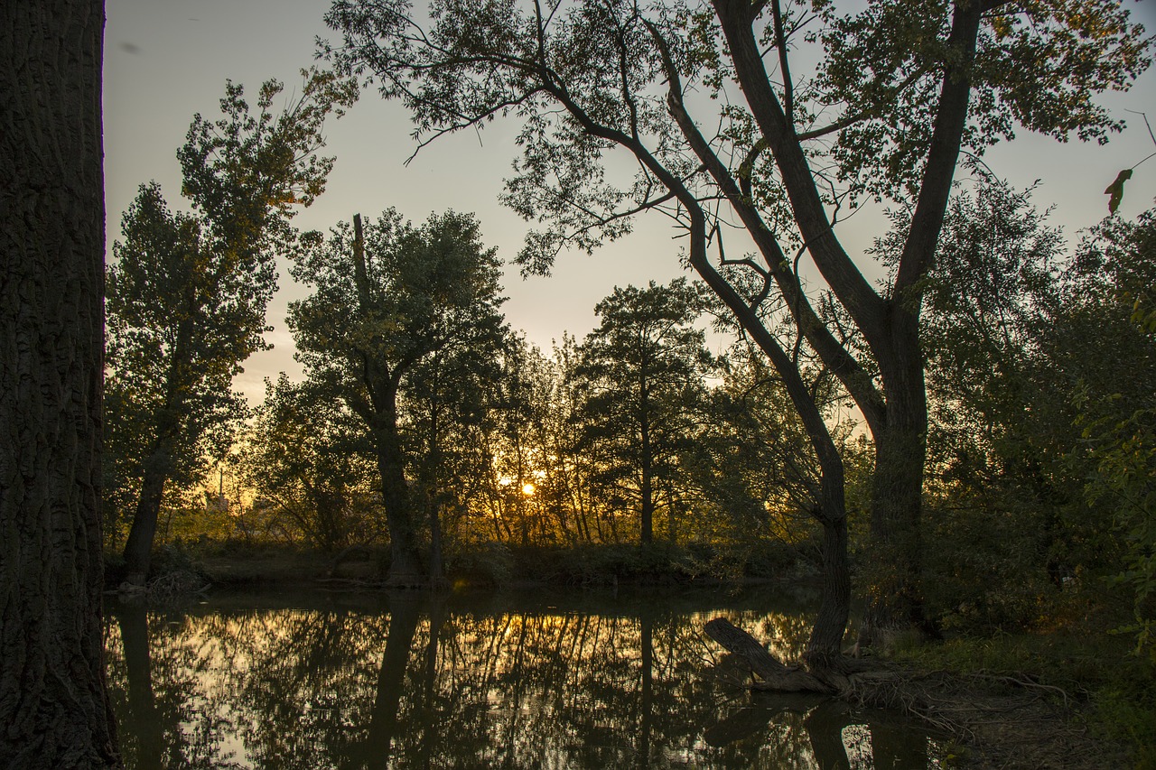 Image - country sunset in the evening