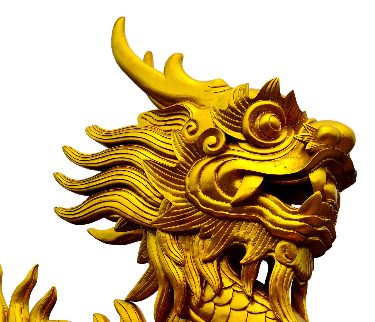 Image - dragon gold golden dragon