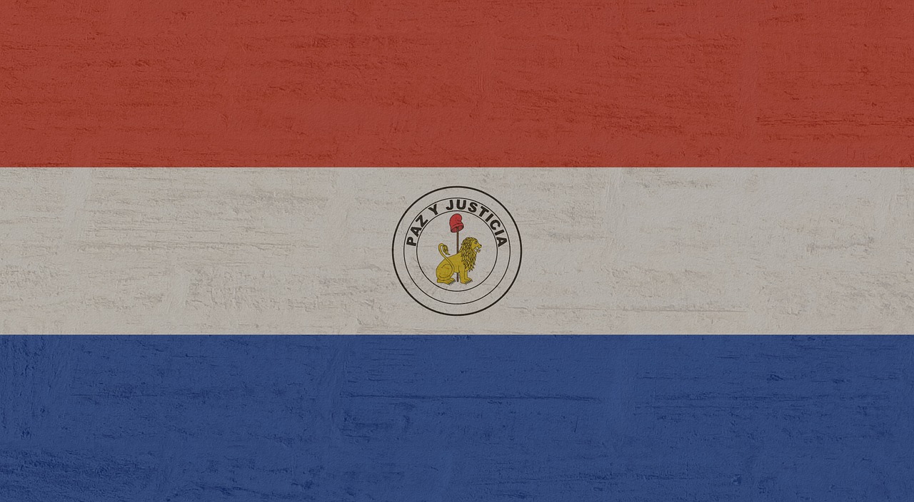 Image - paraguay flag