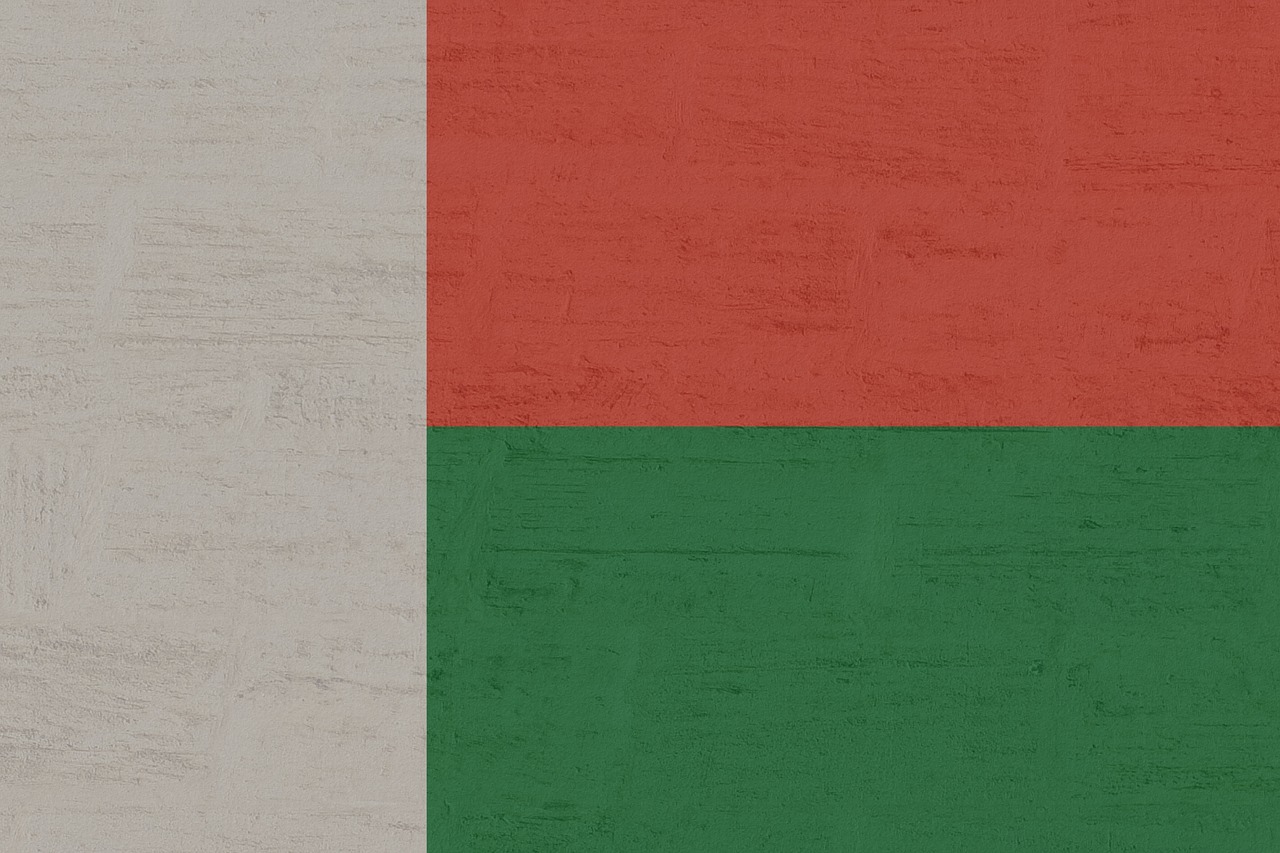 Image - madagascar flag international