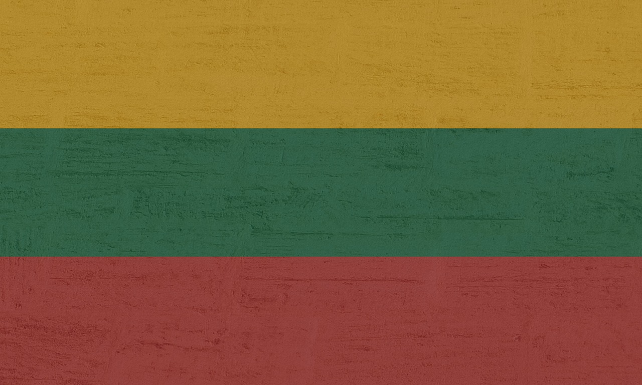 Image - lithuania flag international