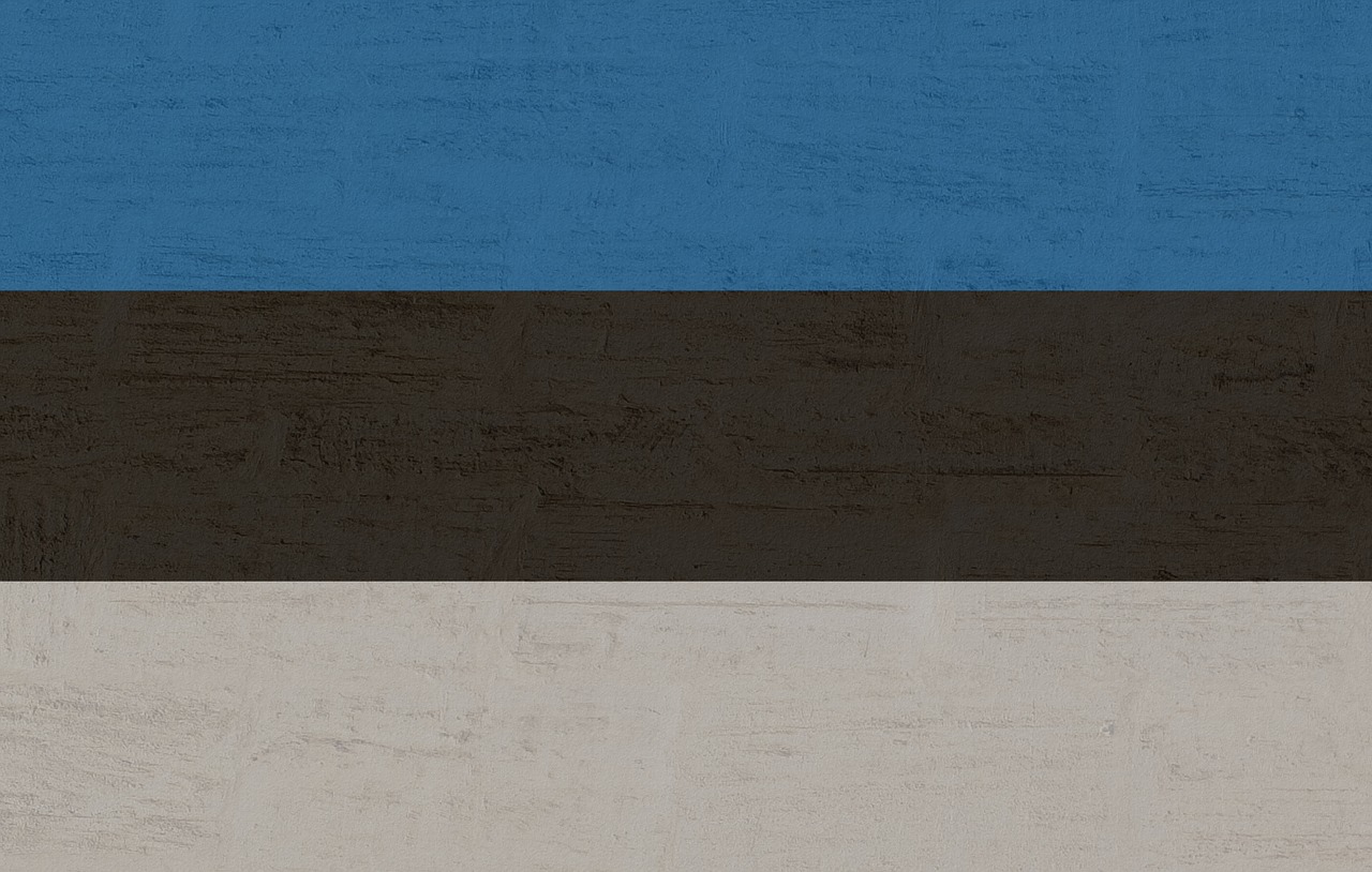 Image - estonia flag international