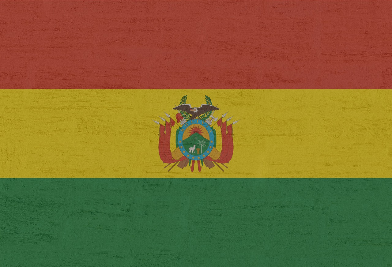 Image - bolivia flag