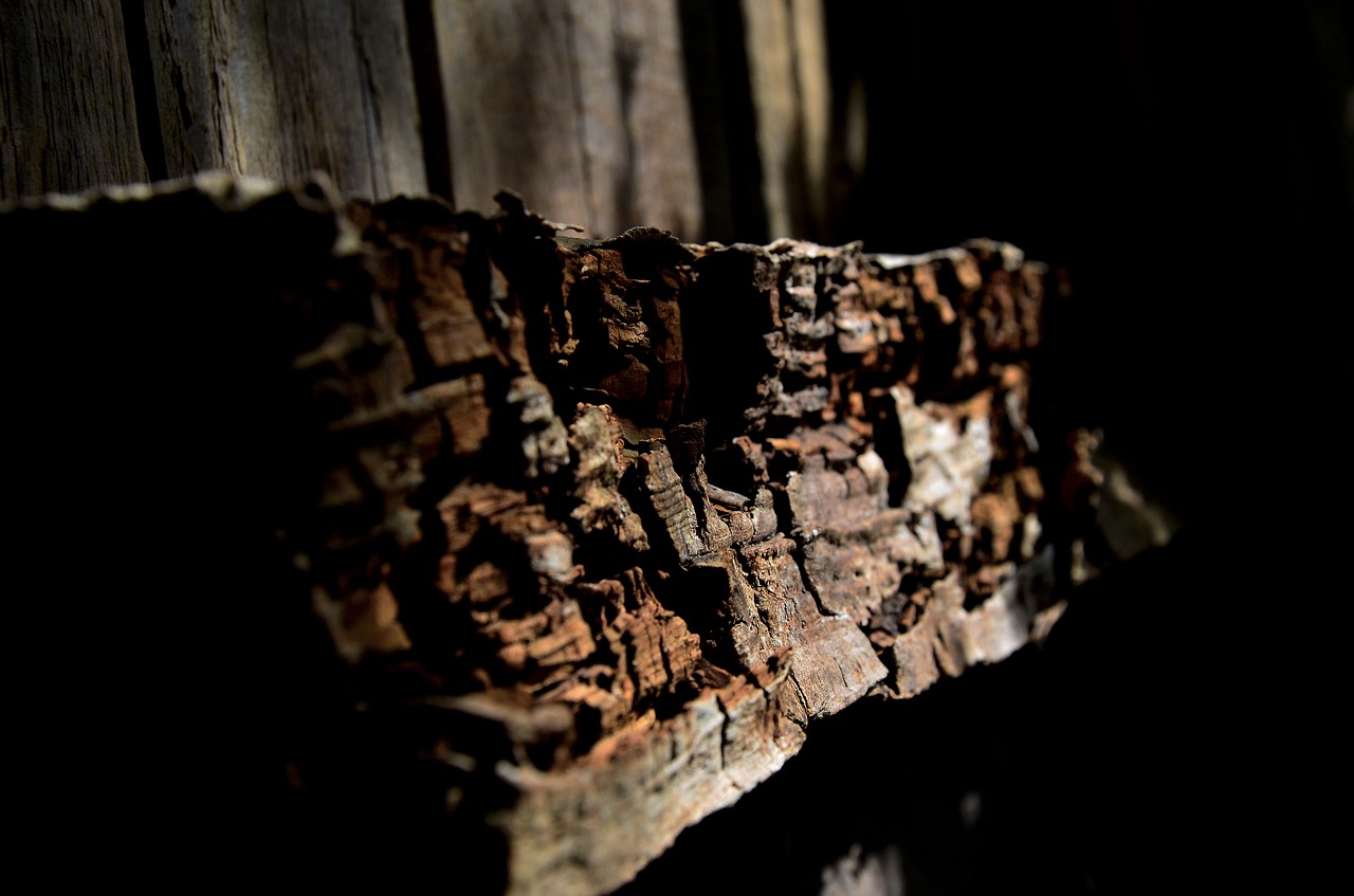 Image - wood morsch old rotten wood broken