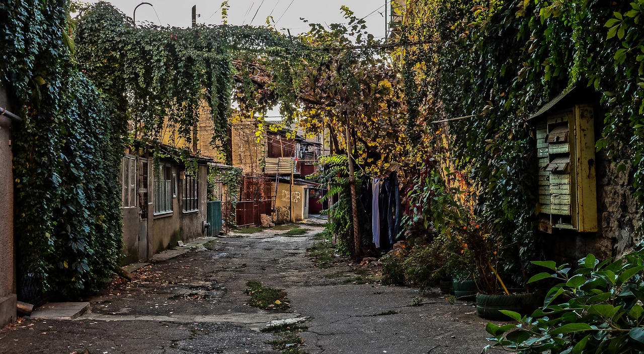 Image - odessa yard grapes mailbox