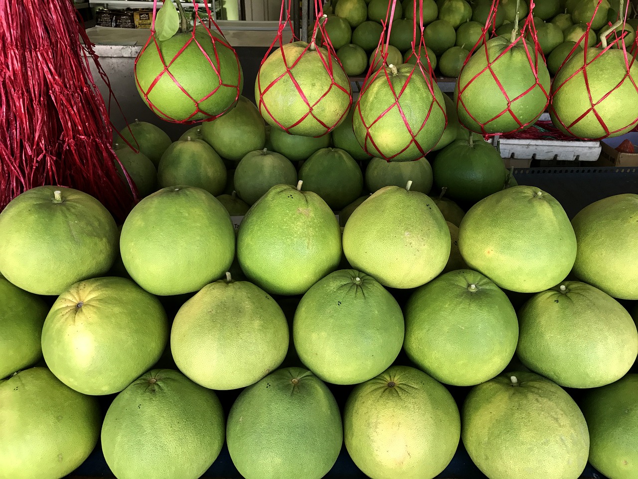 Image - pomelo fruit tree citrus maxima