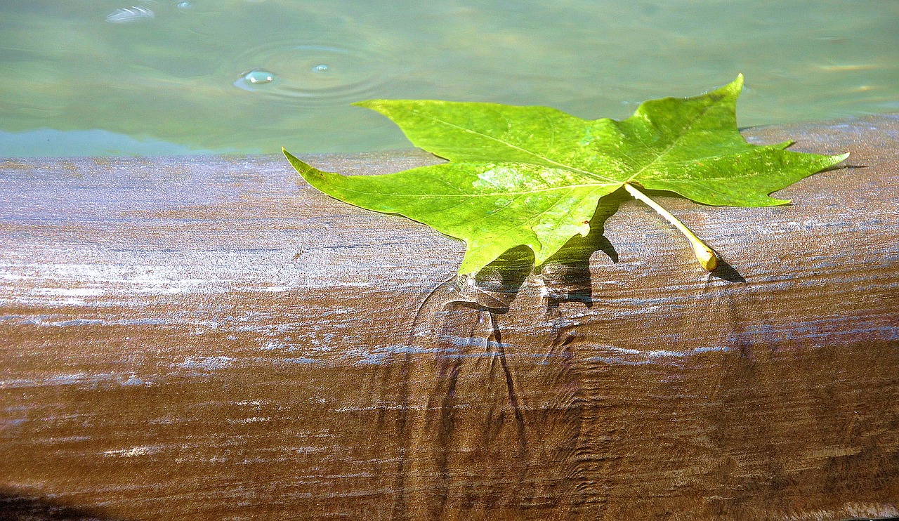 Image - water brunne leaf flow well water