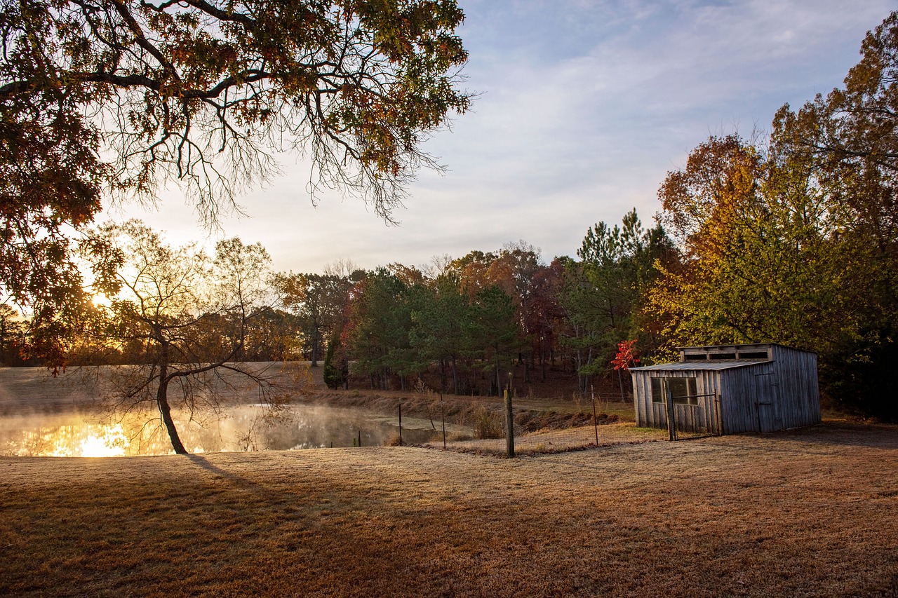 Image - barn fall pond landscape autumn