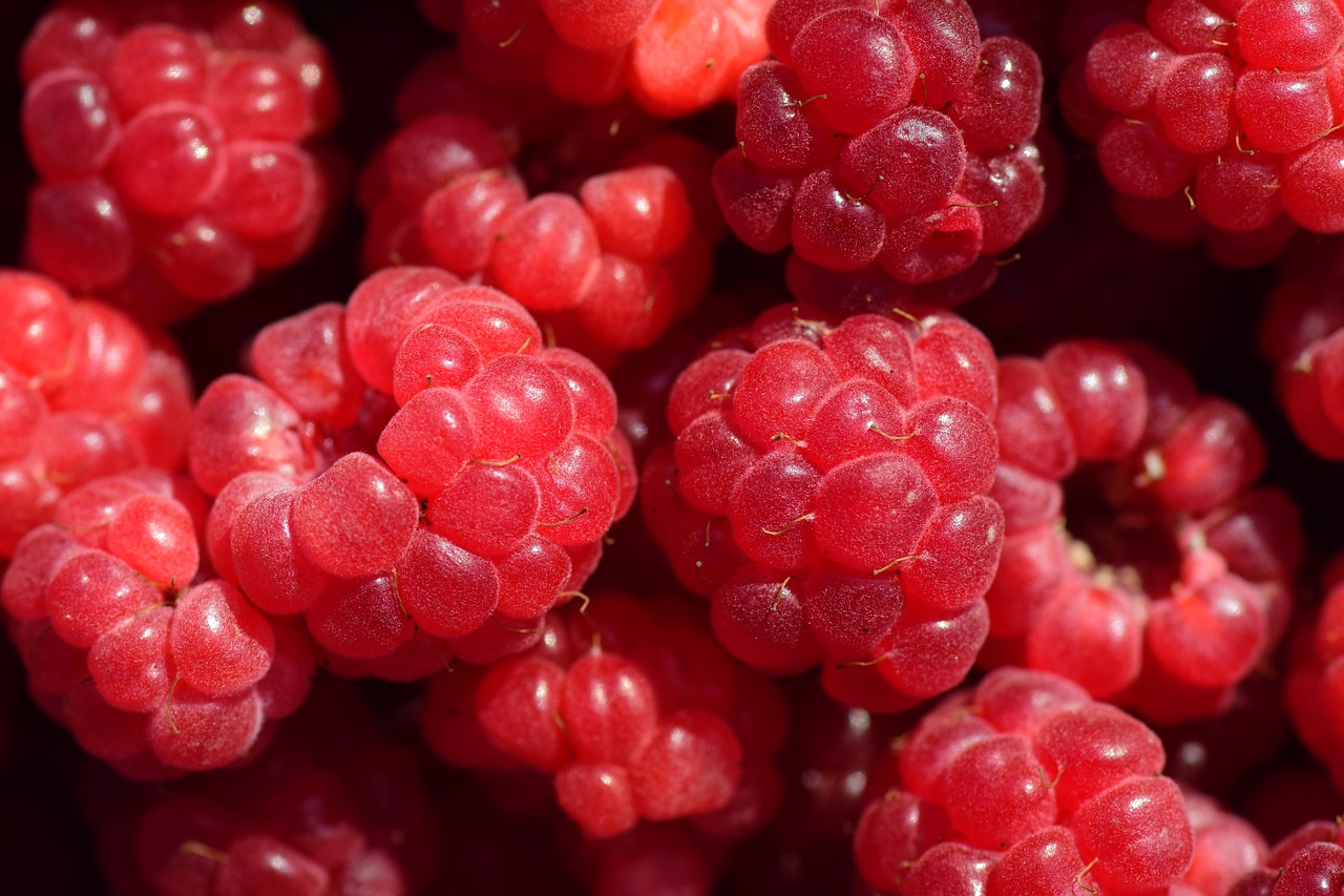 Image - raspberries close red fruit sweet