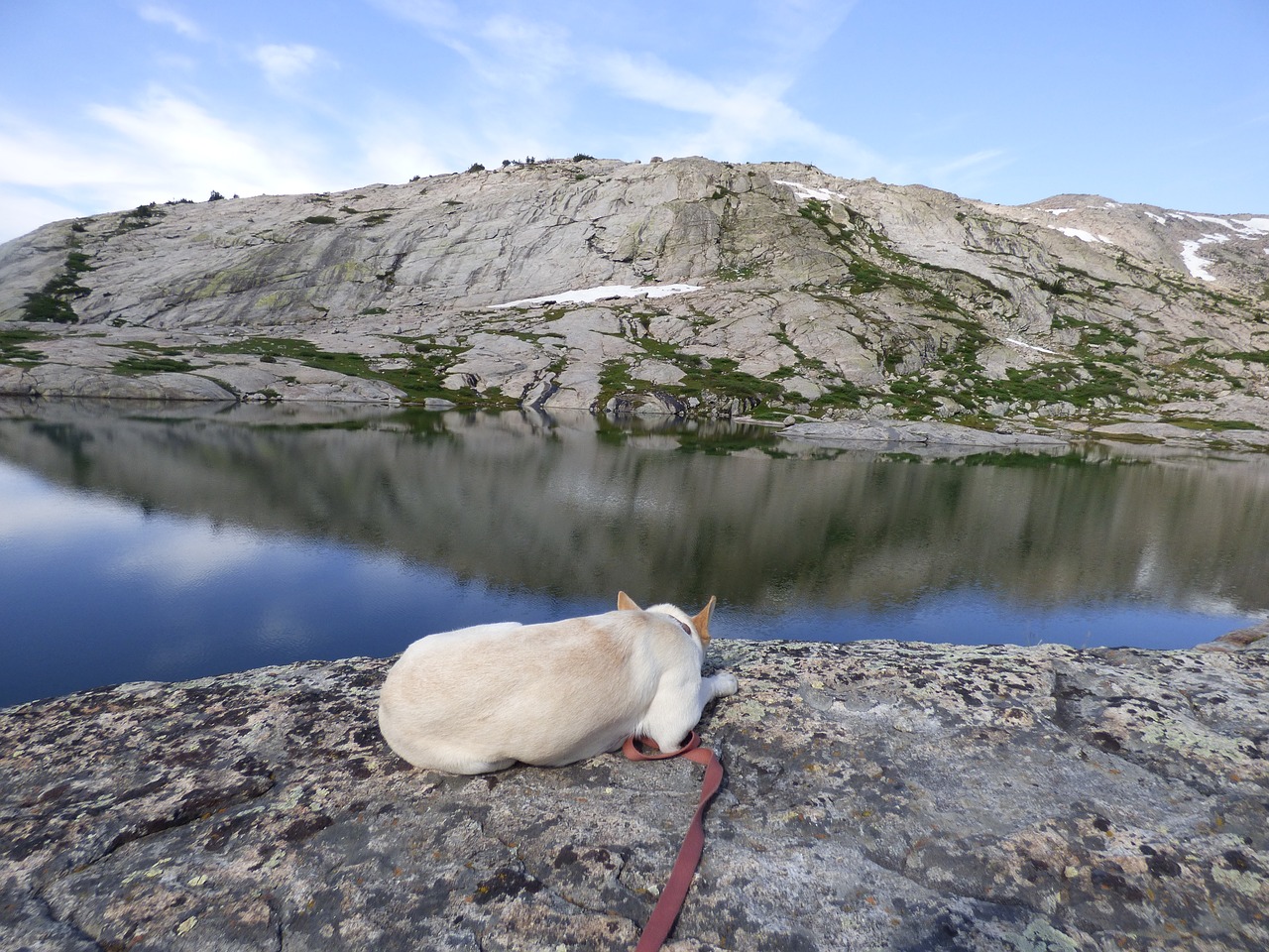 Image - dog nap lake mountains jindo