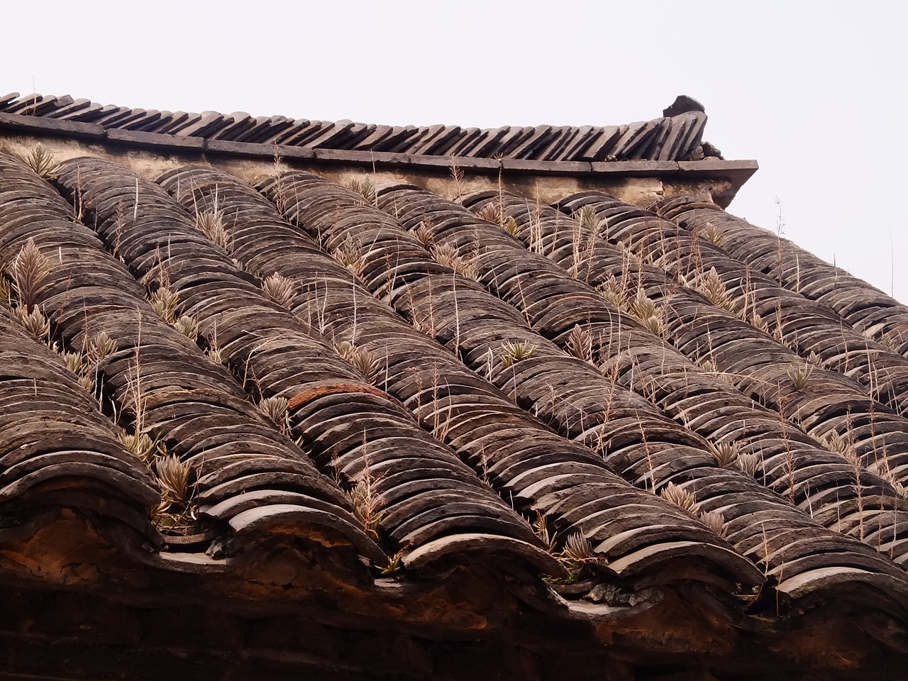 Image - tiles roof grass