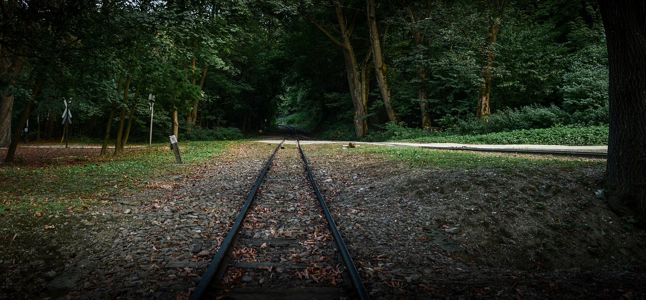 Image - szilvasvarad railway forest park