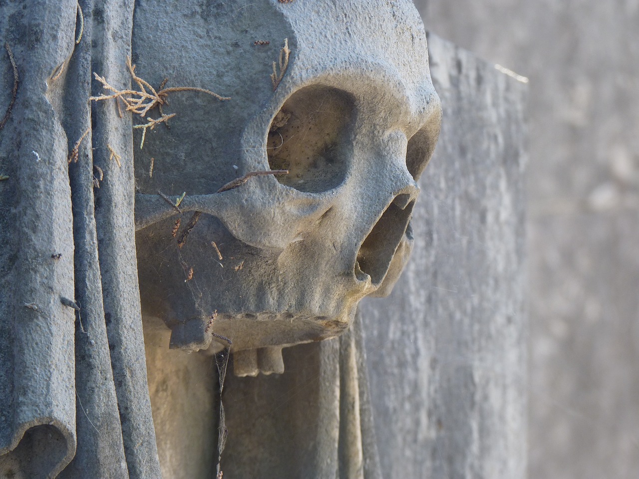 Image - memento mori skull cemetery