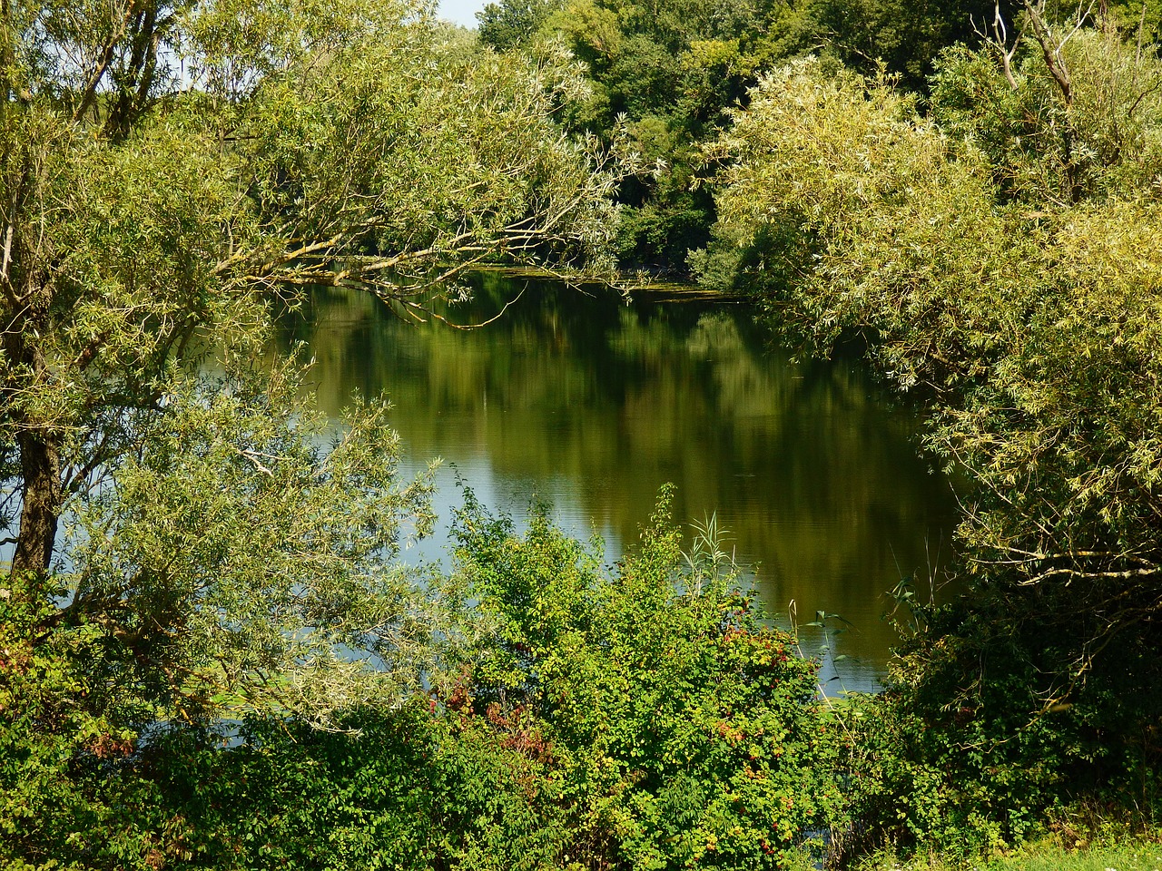 Image - nature country water trees